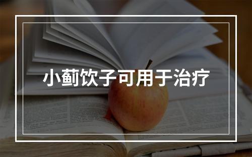 小蓟饮子可用于治疗