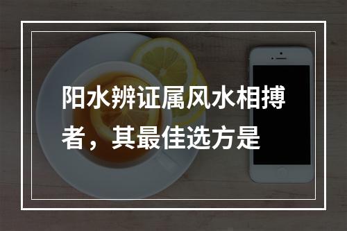 阳水辨证属风水相搏者，其最佳选方是