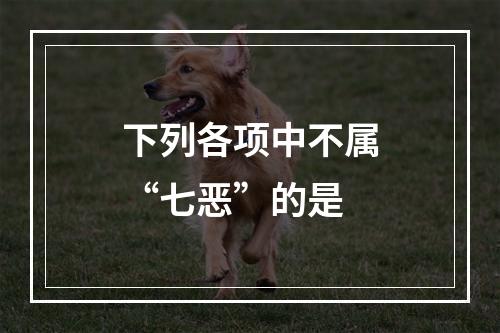 下列各项中不属“七恶”的是