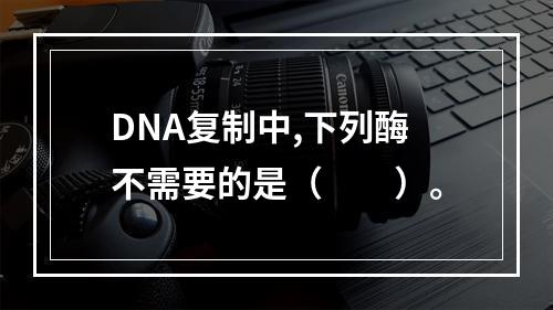 DNA复制中,下列酶不需要的是（　　）。