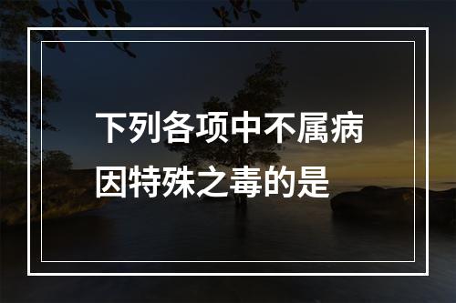 下列各项中不属病因特殊之毒的是