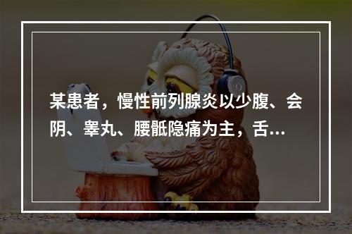 某患者，慢性前列腺炎以少腹、会阴、睾丸、腰骶隐痛为主，舌黯或