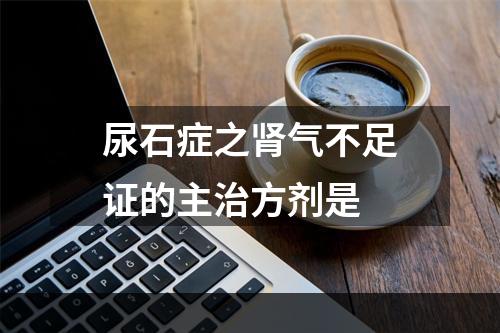 尿石症之肾气不足证的主治方剂是