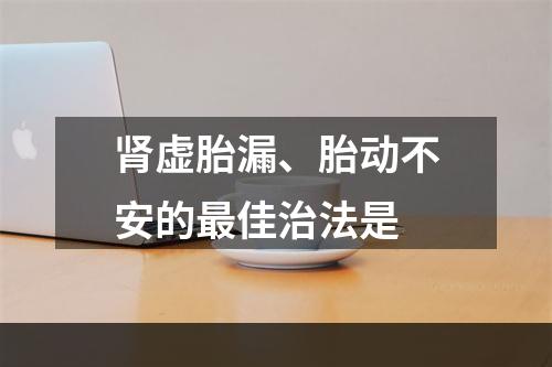 肾虚胎漏、胎动不安的最佳治法是