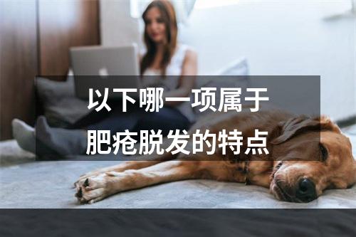 以下哪一项属于肥疮脱发的特点