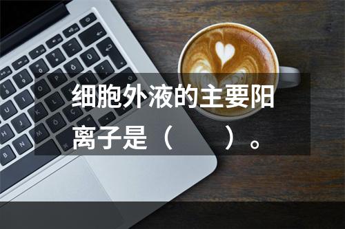 细胞外液的主要阳离子是（　　）。