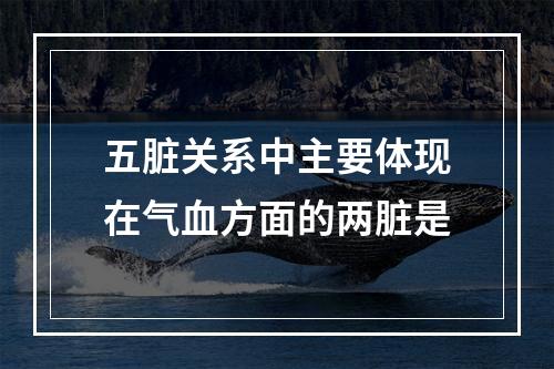 五脏关系中主要体现在气血方面的两脏是