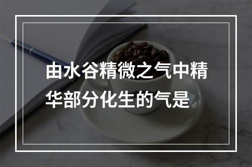 由水谷精微之气中精华部分化生的气是