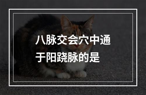 八脉交会穴中通于阳跷脉的是