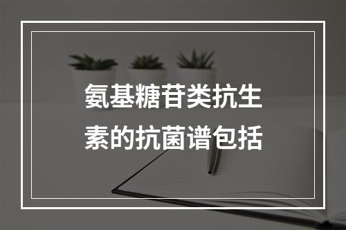 氨基糖苷类抗生素的抗菌谱包括