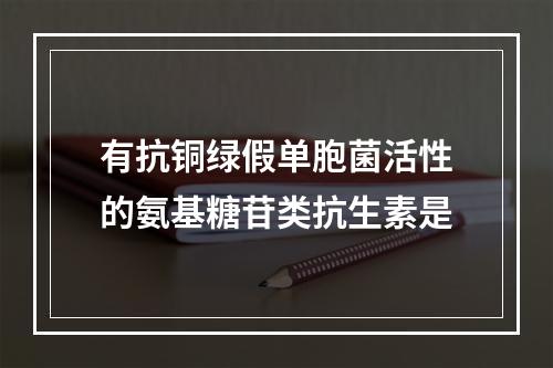 有抗铜绿假单胞菌活性的氨基糖苷类抗生素是