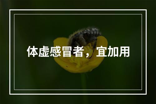 体虚感冒者，宜加用