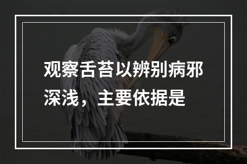 观察舌苔以辨别病邪深浅，主要依据是