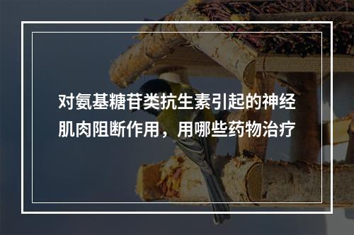 对氨基糖苷类抗生素引起的神经肌肉阻断作用，用哪些药物治疗