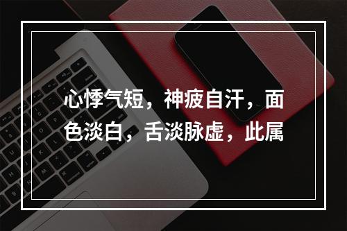 心悸气短，神疲自汗，面色淡白，舌淡脉虚，此属