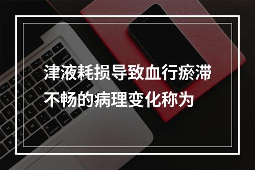 津液耗损导致血行瘀滞不畅的病理变化称为