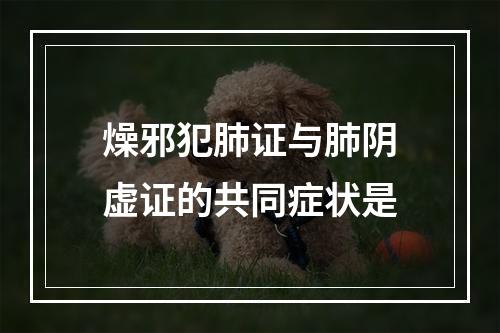 燥邪犯肺证与肺阴虚证的共同症状是