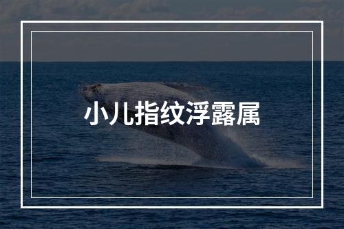 小儿指纹浮露属