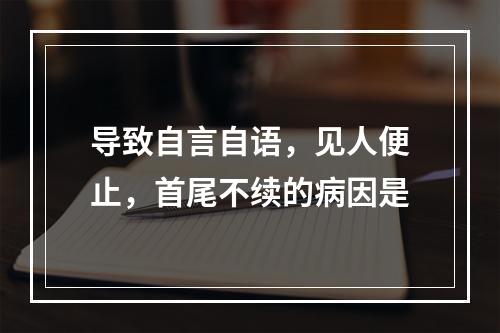 导致自言自语，见人便止，首尾不续的病因是