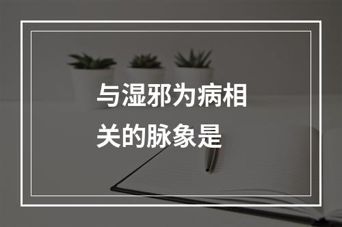 与湿邪为病相关的脉象是