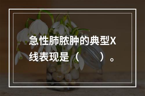 急性肺脓肿的典型X线表现是（　　）。