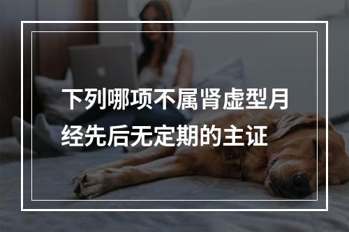 下列哪项不属肾虚型月经先后无定期的主证