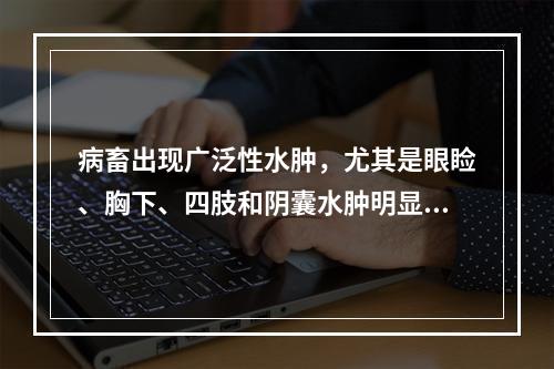 病畜出现广泛性水肿，尤其是眼睑、胸下、四肢和阴囊水肿明显，