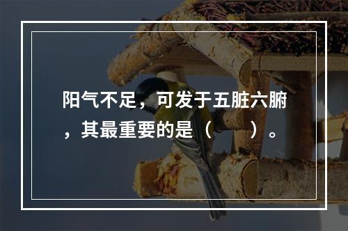 阳气不足，可发于五脏六腑，其最重要的是（　　）。