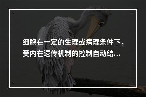 细胞在一定的生理或病理条件下，受内在遗传机制的控制自动结束