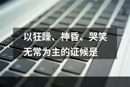 以狂躁、神昏、哭笑无常为主的证候是