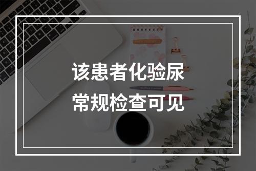 该患者化验尿常规检查可见