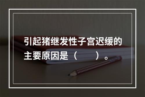 引起猪继发性子宫迟缓的主要原因是（　　）。