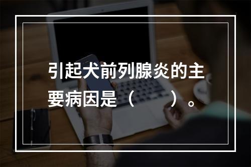 引起犬前列腺炎的主要病因是（　　）。