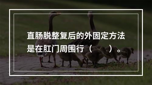 直肠脱整复后的外固定方法是在肛门周围行（　　）。