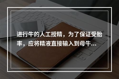 进行牛的人工授精，为了保证受胎率，应将精液直接输入到母牛生