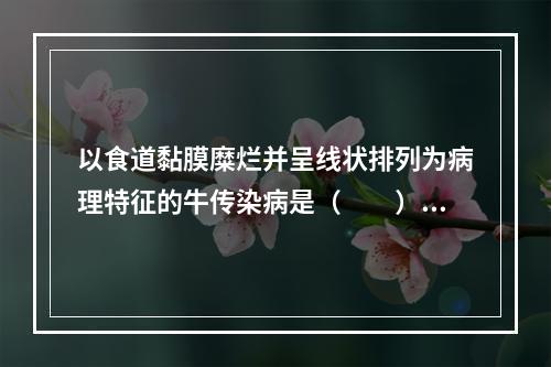 以食道黏膜糜烂并呈线状排列为病理特征的牛传染病是（　　）。