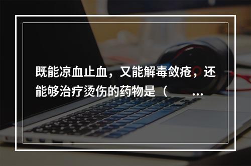 既能凉血止血，又能解毒敛疮，还能够治疗烫伤的药物是（　　）。