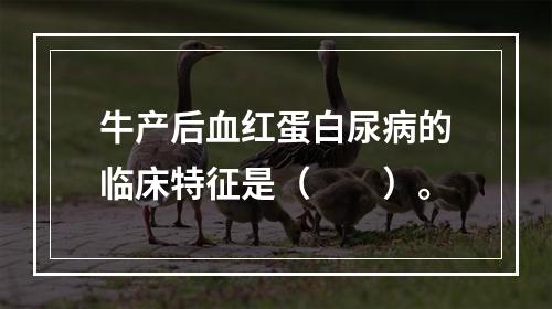 牛产后血红蛋白尿病的临床特征是（　　）。