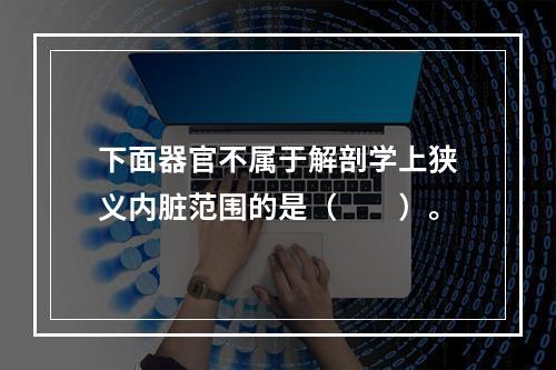 下面器官不属于解剖学上狭义内脏范围的是（　　）。