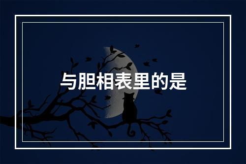 与胆相表里的是