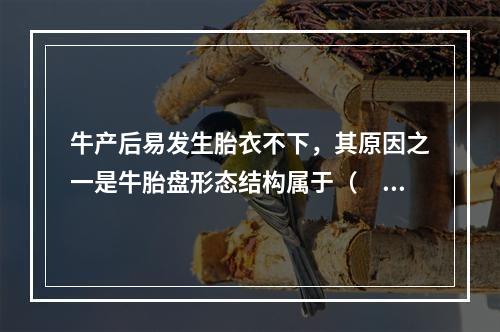 牛产后易发生胎衣不下，其原因之一是牛胎盘形态结构属于（　　