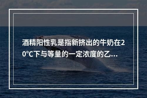 酒精阳性乳是指新挤出的牛奶在20℃下与等量的一定浓度的乙醇