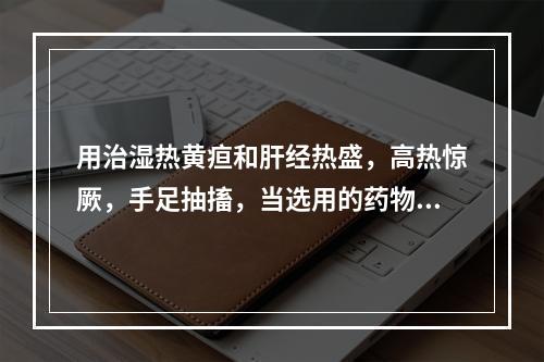 用治湿热黄疸和肝经热盛，高热惊厥，手足抽搐，当选用的药物是（