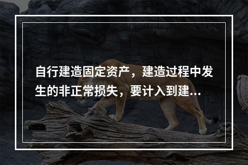 自行建造固定资产，建造过程中发生的非正常损失，要计入到建造成