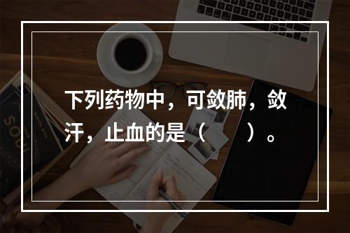 下列药物中，可敛肺，敛汗，止血的是（　　）。