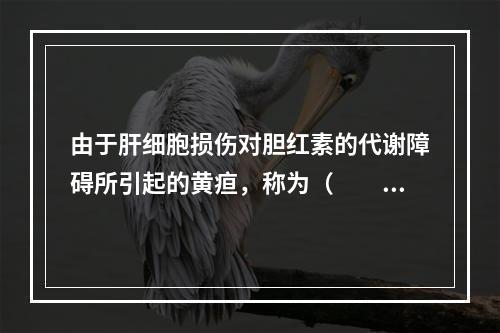 由于肝细胞损伤对胆红素的代谢障碍所引起的黄疸，称为（　　）