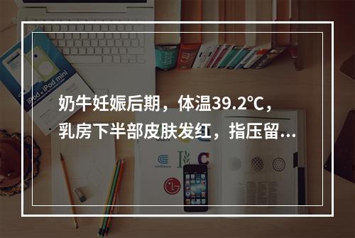 奶牛妊娠后期，体温39.2℃，乳房下半部皮肤发红，指压留痕