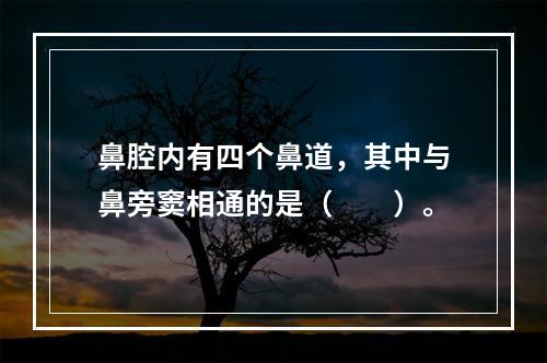 鼻腔内有四个鼻道，其中与鼻旁窦相通的是（　　）。