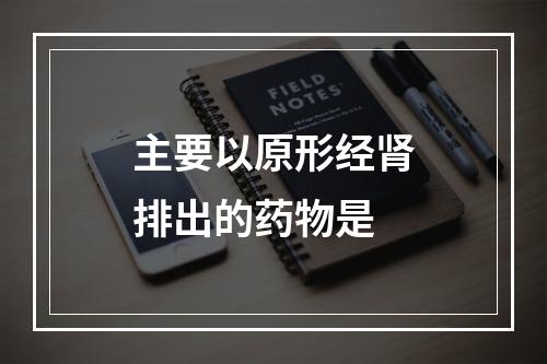 主要以原形经肾排出的药物是