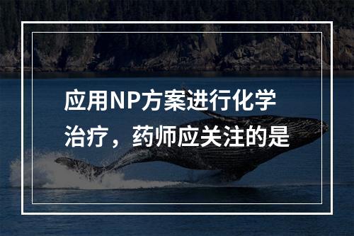 应用NP方案进行化学治疗，药师应关注的是